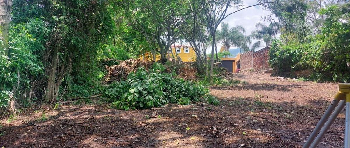 Foto de terreno habitacional en venta en cardenal 54, chapala haciendas, chapala, jalisco, 24715555 No. 04