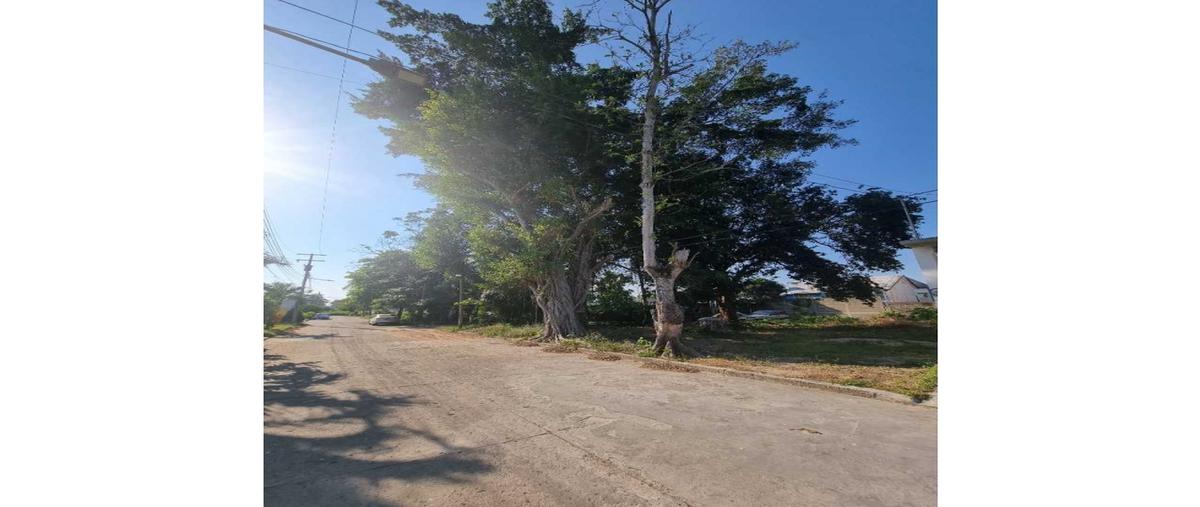 Foto de terreno habitacional en venta en  , cárdenas centro, cárdenas, tabasco, 27752766 No. 05