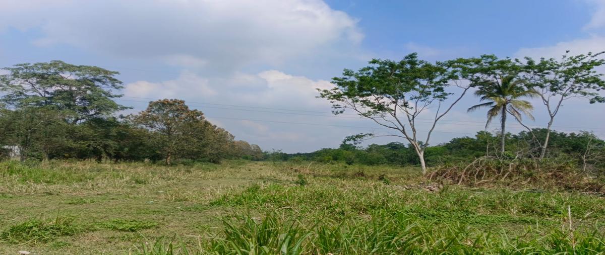 Foto de terreno habitacional en venta en  , cárdenas centro, cárdenas, tabasco, 0 No. 04