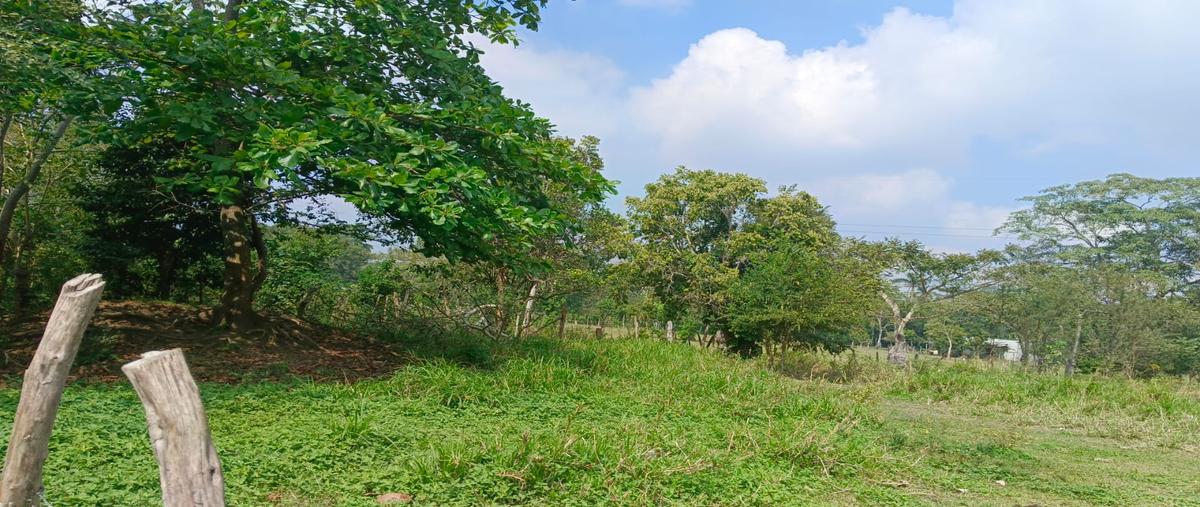 Foto de terreno habitacional en venta en  , cárdenas centro, cárdenas, tabasco, 0 No. 05