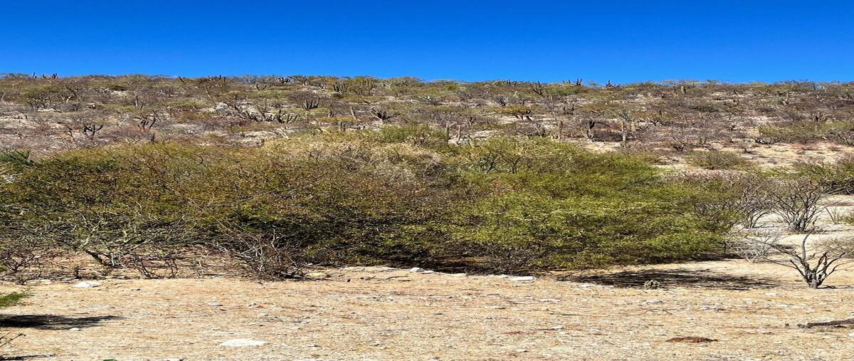 Foto de terreno habitacional en venta en  , cardonal, la paz, baja california sur, 29513240 No. 04