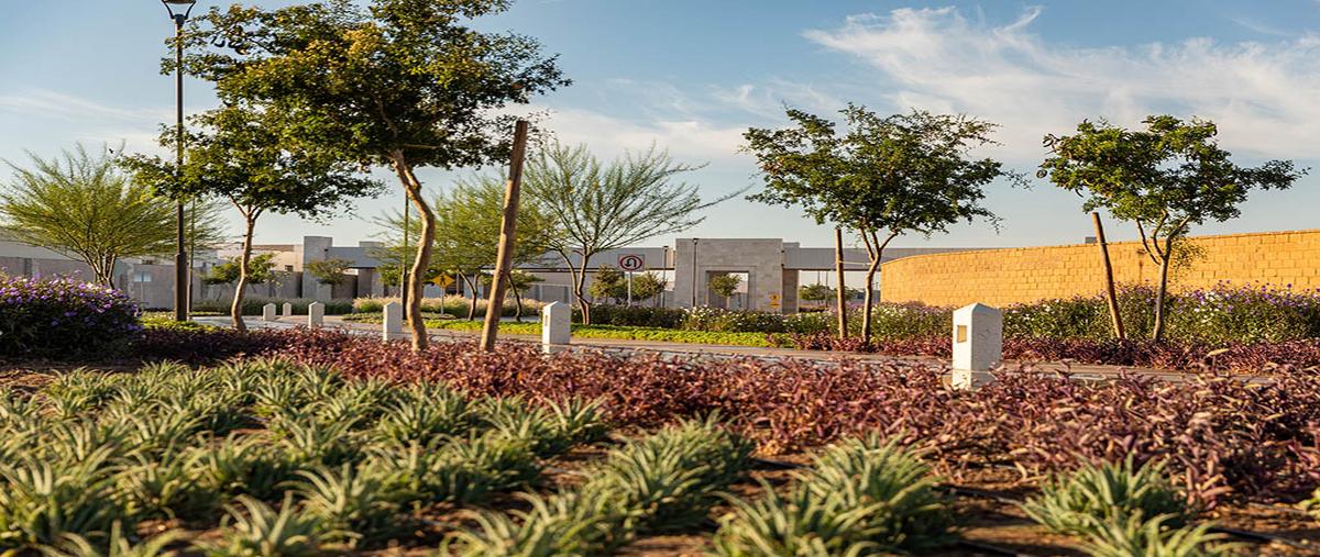 Foto de terreno habitacional en venta en cardos , el cardenchal, torreón, coahuila de zaragoza, 26185367 No. 06