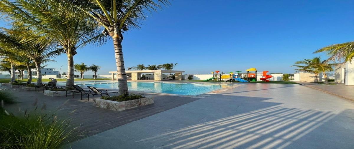 Foto de terreno habitacional en caretera boca del rio - paso de toro , el estero, boca del río, veracruz de ignacio de la llave, 18360581 foto 04 Foto de terreno habitacional en venta en caretera boca del rio - paso de toro , el estero, boca del río, veracruz de ignacio de la llave, 18360581 No. 04