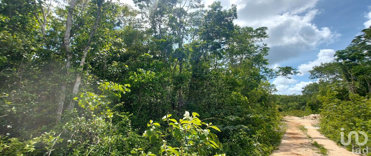 Foto de terreno habitacional en venta en caribe 117, francisco uh-may, tulum, quintana roo, 28724368 No. 03
