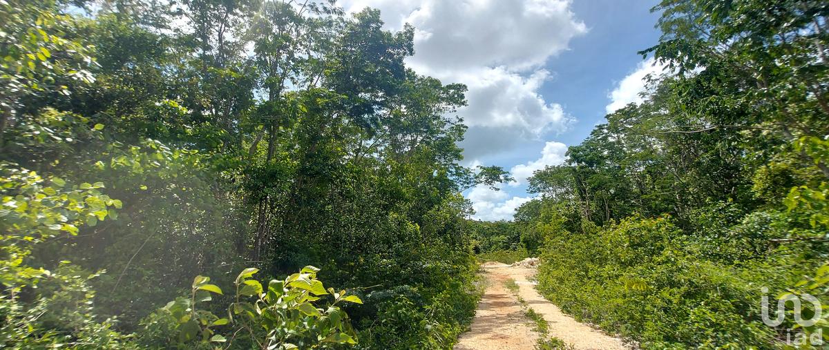Foto de terreno habitacional en venta en caribe 117, francisco uh-may, tulum, quintana roo, 28724368 No. 04