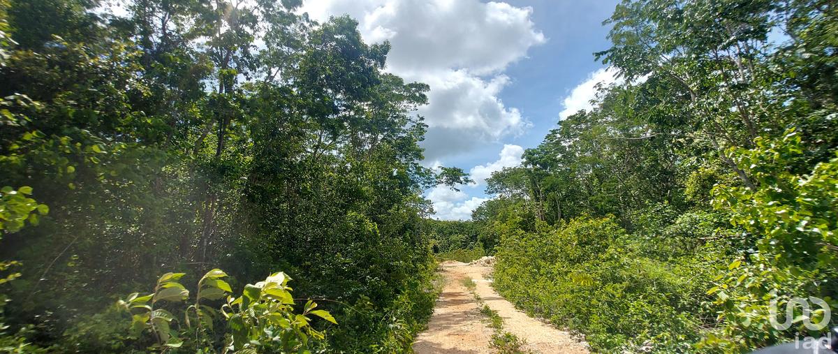 Foto de terreno habitacional en venta en caribe 91, francisco uh-may, tulum, quintana roo, 28724368 No. 05