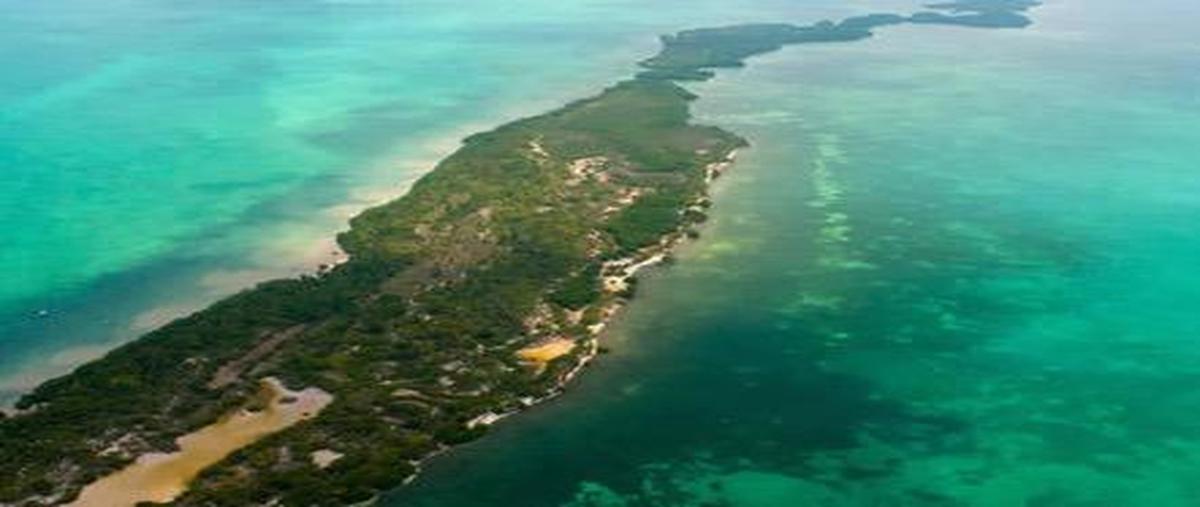 Foto de terreno habitacional en venta en  , caribe, othón p. blanco, quintana roo, 0 No. 05