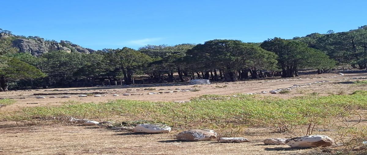 Foto de rancho en , carichi, carichí, chihuahua, 23808850 foto 04 Foto de rancho en venta en , carichi, carichí, chihuahua, 23808850 No. 04