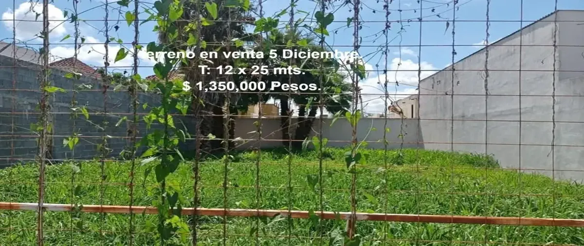 Foto de terreno comercial en venta en carlos a. madrazo 230, 5 de diciembre, reynosa, tamaulipas, 0 No. 01