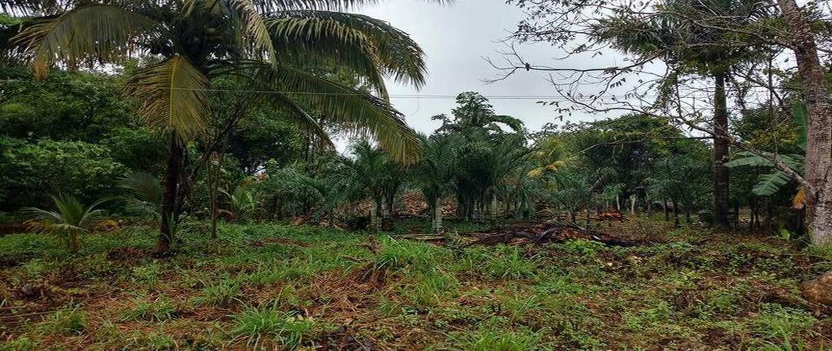 Foto de terreno habitacional en venta en  , carlos a madrazo, othón p. blanco, quintana roo, 0 No. 03