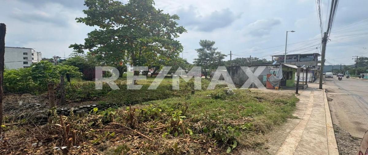 Foto de terreno comercial en renta en carlos a.madrazo becerra , florida, teapa, tabasco, 0 No. 04