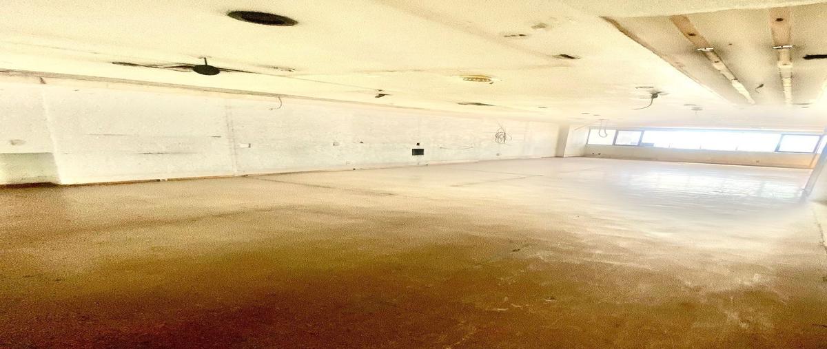 Foto de local en renta en carlos arellano , ciudad satélite, naucalpan de juárez, méxico, 25885777 No. 03