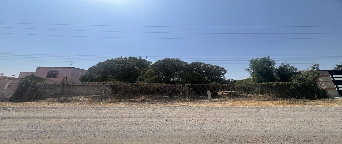 Foto de terreno habitacional en venta en carlotta , ixtlahuacan de los membrillos, ixtlahuacán de los membrillos, jalisco, 29921616 No. 02