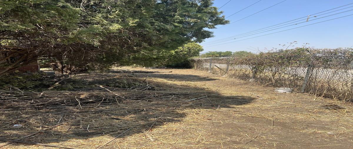 Foto de terreno habitacional en venta en carlotta , ixtlahuacan de los membrillos, ixtlahuacán de los membrillos, jalisco, 29921616 No. 03