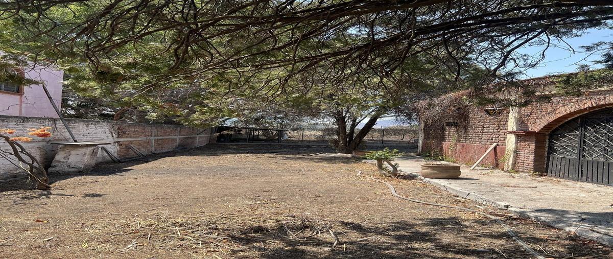 Foto de terreno habitacional en venta en carlotta , ixtlahuacan de los membrillos, ixtlahuacán de los membrillos, jalisco, 29921616 No. 04