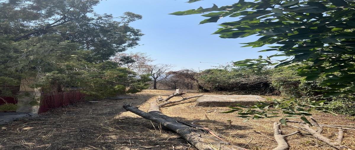 Foto de terreno habitacional en venta en carlotta , ixtlahuacan de los membrillos, ixtlahuacán de los membrillos, jalisco, 29921616 No. 05
