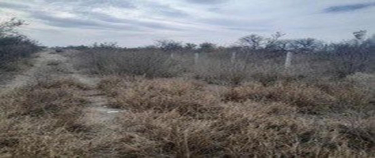 Foto de terreno habitacional en venta en carmen flores , industrial, sabinas hidalgo, nuevo león, 0 No. 03