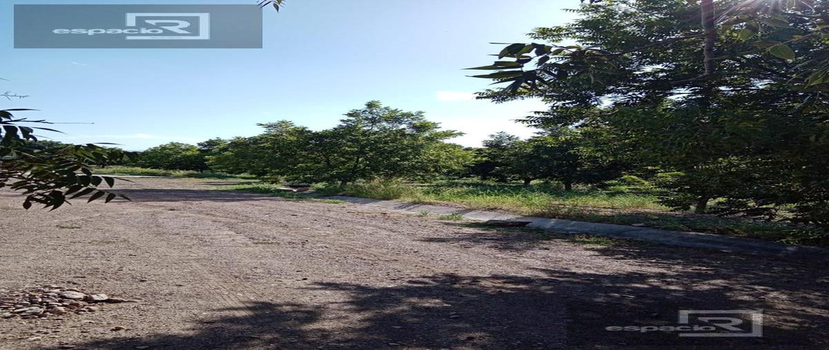 Foto de casa en venta en  , carmeño, buenaventura, chihuahua, 0 No. 03