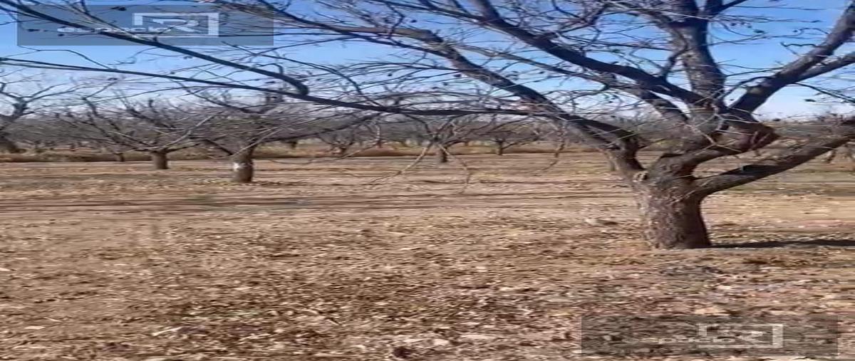 Foto de casa en venta en  , carmeño, buenaventura, chihuahua, 0 No. 04