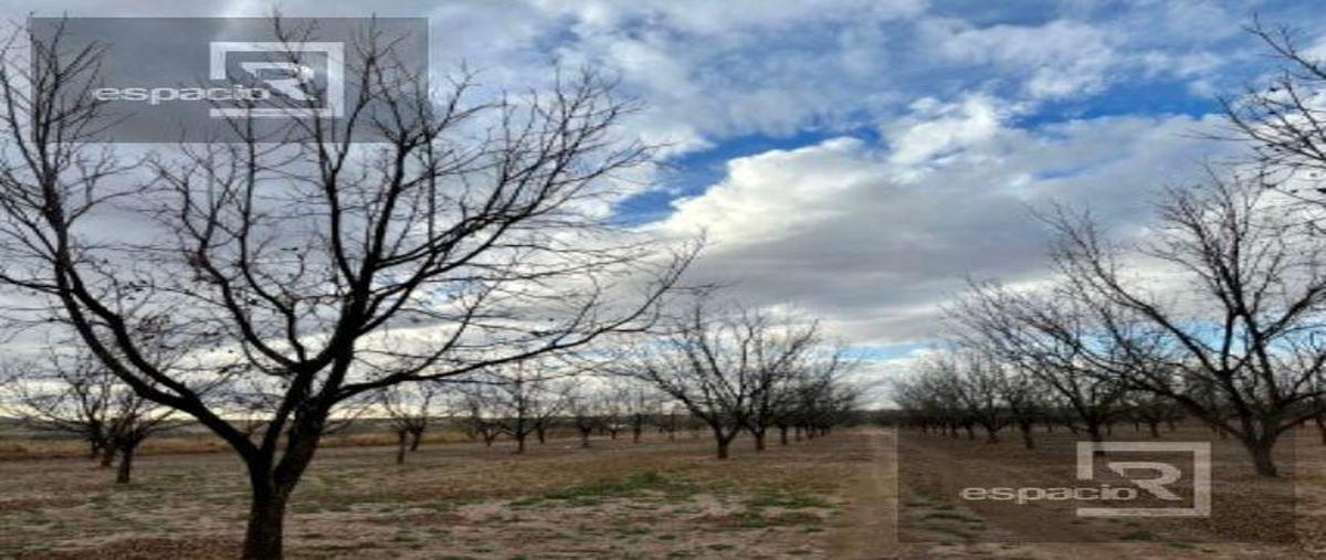Foto de casa en venta en  , carmeño, buenaventura, chihuahua, 0 No. 05