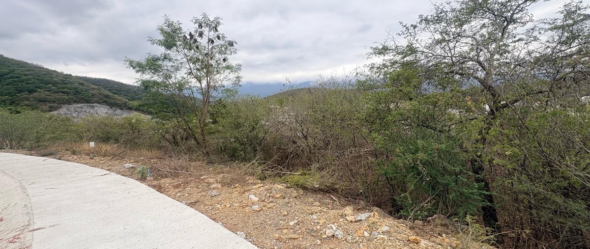 Foto de terreno habitacional en venta en  , carolco, monterrey, nuevo león, 0 No. 04