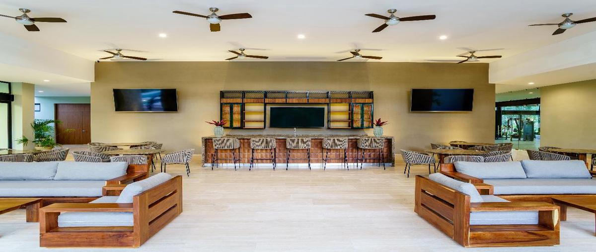 Foto de terreno habitacional en carpe 59, playa del secreto, solidaridad, quintana roo, 24507283 foto 04 Foto de terreno habitacional en venta en carpe 59, playa del secreto, solidaridad, quintana roo, 24507283 No. 04