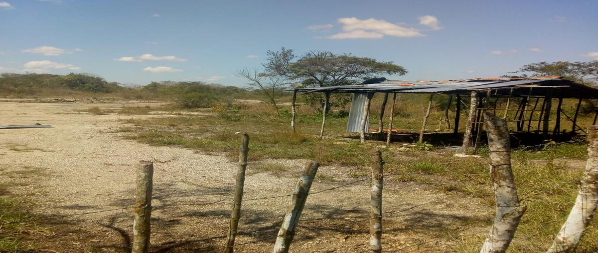Foto de terreno comercial en carr, tuxtla-las choapas , san miguel, ocozocoautla de espinosa, chiapas, 28176328 foto 01 Foto de terreno comercial en venta en carr, tuxtla-las choapas , san miguel, ocozocoautla de espinosa, chiapas, 28176328 No. 01