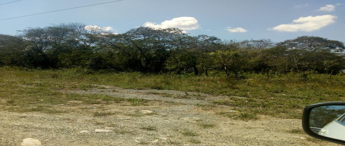 Foto de terreno comercial en carr, tuxtla-las choapas , san miguel, ocozocoautla de espinosa, chiapas, 28176328 foto 03 Foto de terreno comercial en venta en carr, tuxtla-las choapas , san miguel, ocozocoautla de espinosa, chiapas, 28176328 No. 03