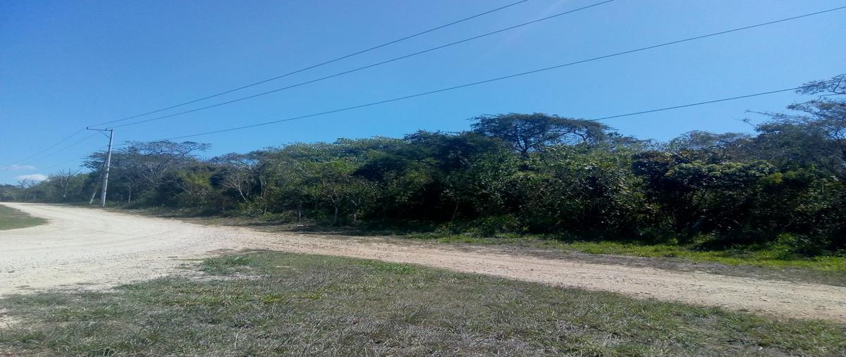 Foto de terreno comercial en carr, tuxtla-las choapas , san miguel, ocozocoautla de espinosa, chiapas, 28176328 foto 05 Foto de terreno comercial en venta en carr, tuxtla-las choapas , san miguel, ocozocoautla de espinosa, chiapas, 28176328 No. 05
