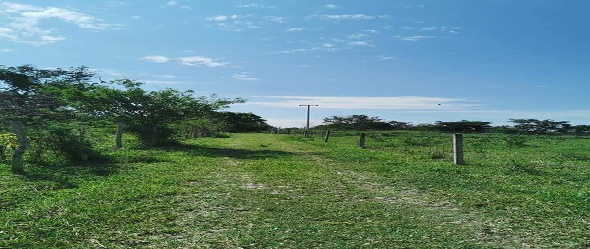 Foto de terreno habitacional en venta en carrera comala - suchitlan , cofradía de suchitlán, comala, colima, 27704862 No. 04