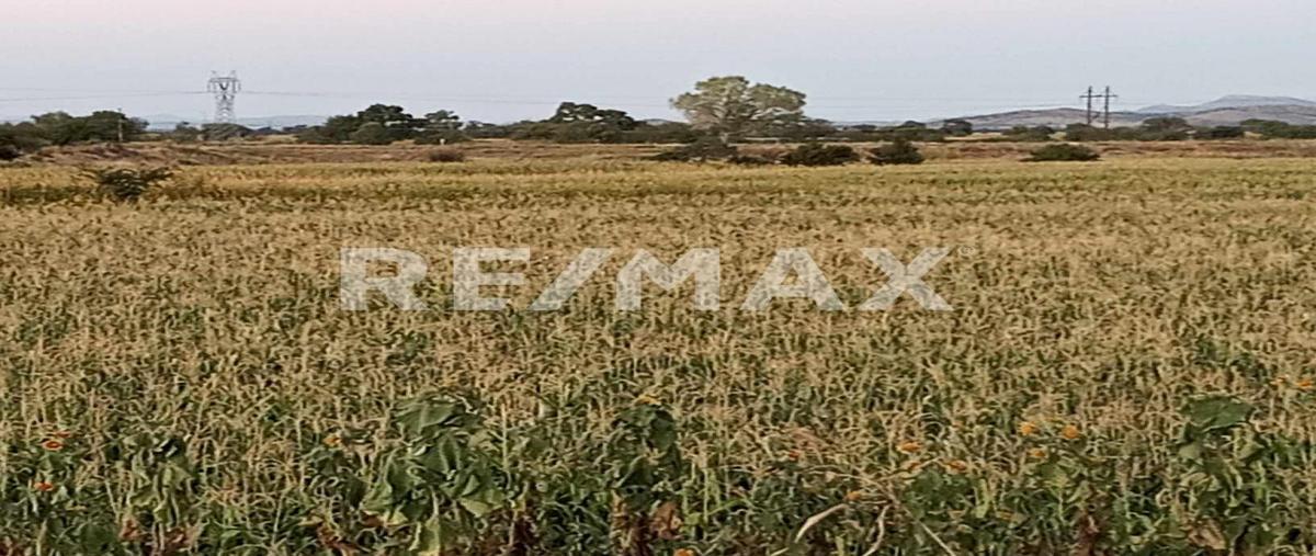 Foto de terreno comercial en venta en carrerera durango zacatecas , belisario domínguez, durango, durango, 0 No. 03