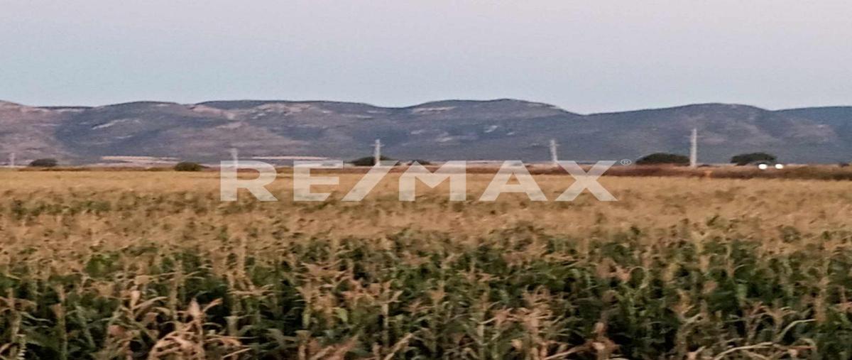 Foto de terreno comercial en venta en carrerera durango zacatecas , belisario domínguez, durango, durango, 28772437 No. 05