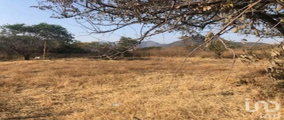 Foto de terreno habitacional en venta en carret, yautepec-tlayacapan , josé ortiz (san martín), yautepec, morelos, 29114695 No. 03