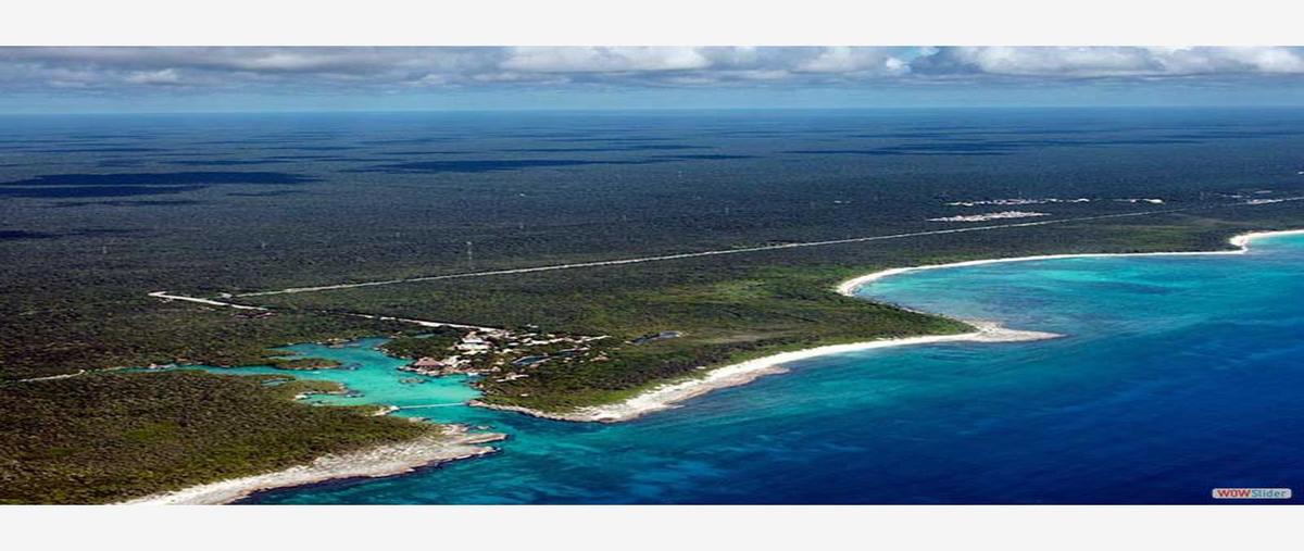 Foto de terreno habitacional en venta en carreta a tulum 454, xpu ha, solidaridad, quintana roo, 30318049 No. 05