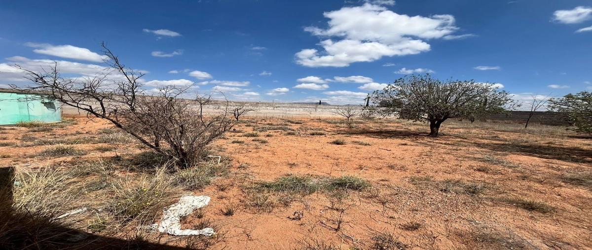 Foto de terreno habitacional en venta en carrete aldama , paseo de los leones, chihuahua, chihuahua, 28965668 No. 05