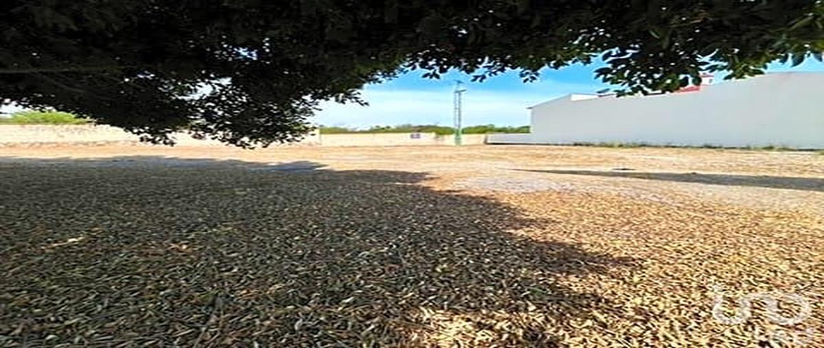 Foto de terreno habitacional en venta en carretera 100 kilometro 37 , bernal, ezequiel montes, querÃ©taro, 29734408 No. 04