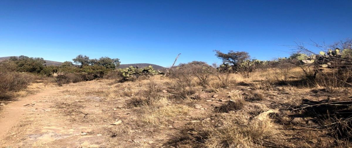 Foto de terreno habitacional en venta en carretera 115 , frailes, tepeapulco, hidalgo, 23195293 No. 03