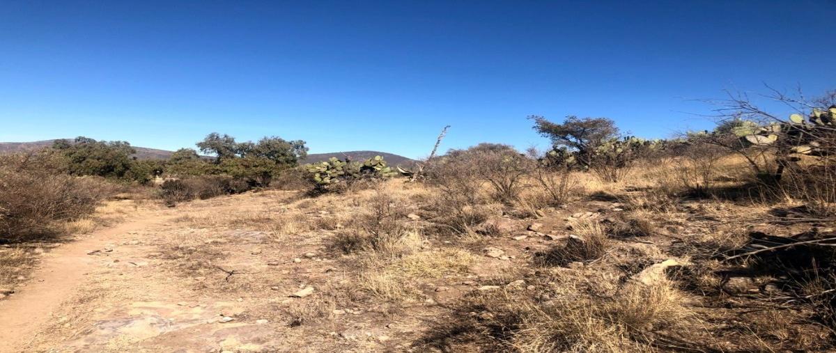 Foto de terreno habitacional en venta en carretera 115 , frailes, tepeapulco, hidalgo, 23195293 No. 04