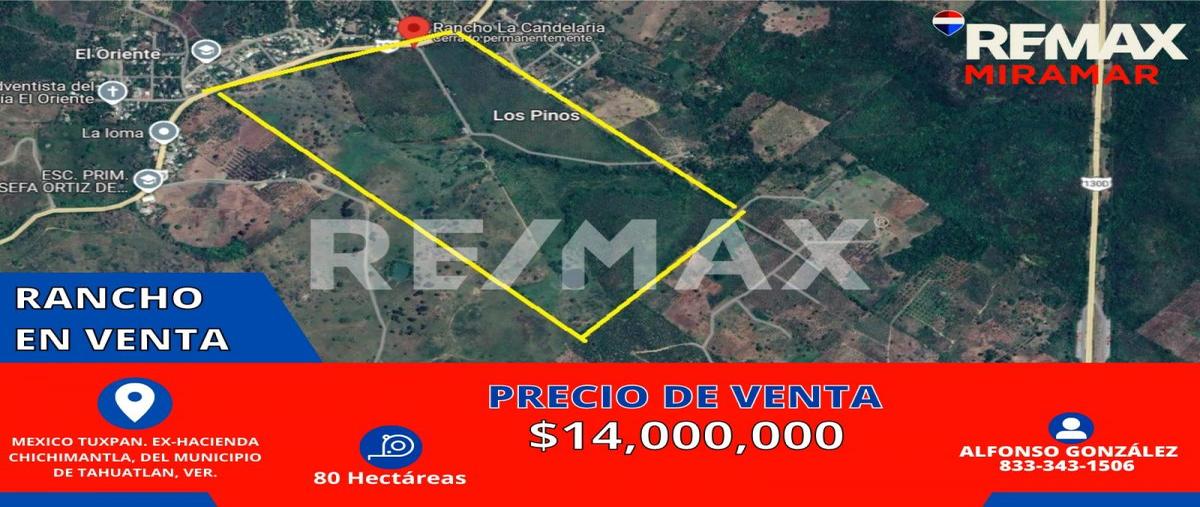 Foto de rancho en carretera 130 de la mexico-tuxpam , fredepo, tihuatlán, veracruz de ignacio de la llave, 30127098 foto 05 Foto de rancho en venta en carretera 130 de la mexico-tuxpam , fredepo, tihuatlán, veracruz de ignacio de la llave, 30127098 No. 05