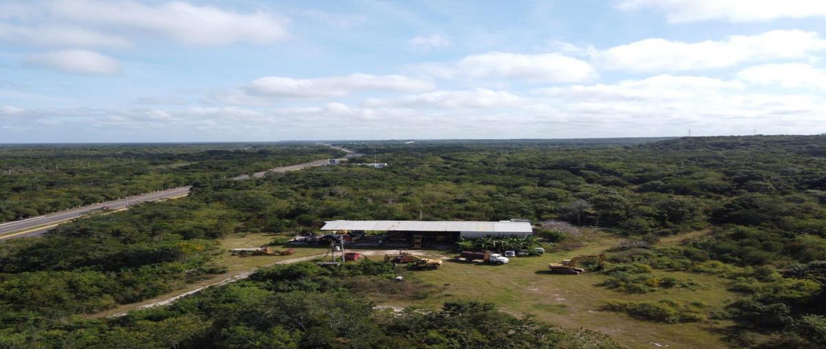Foto de terreno industrial en carretera 180 campeche-merida , hampolol, campeche, campeche, 20002478 foto 03 Foto de terreno industrial en venta en carretera 180 campeche-merida , hampolol, campeche, campeche, 20002478 No. 03