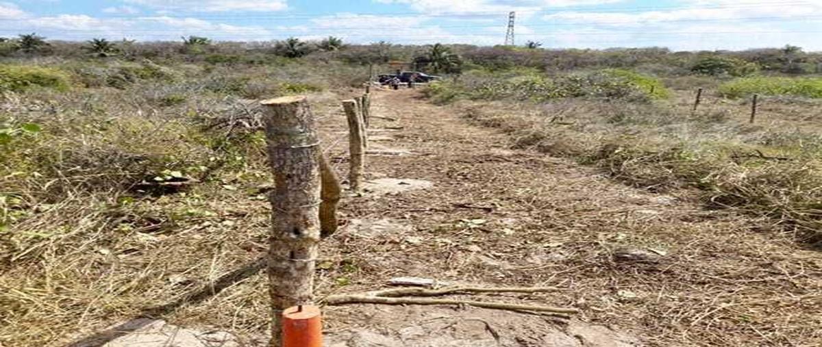 Foto de terreno habitacional en venta en carretera 180 , isla aguada, carmen, campeche, 28252204 No. 03