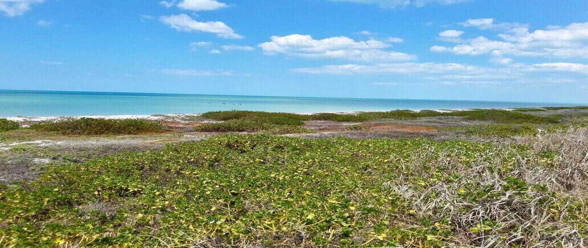 Foto de terreno habitacional en venta en carretera 180 , isla aguada, carmen, campeche, 28252204 No. 04