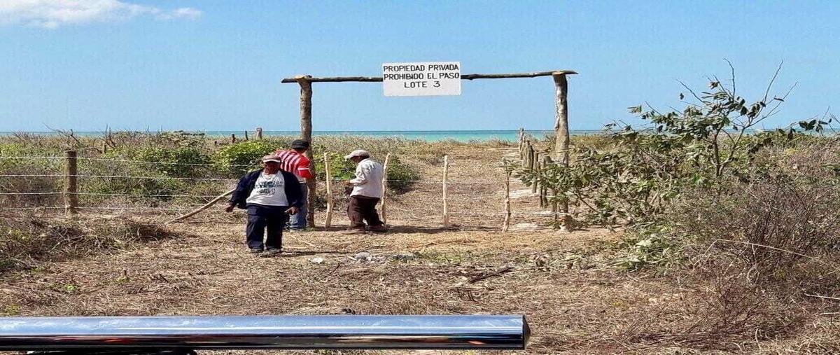 Foto de terreno habitacional en venta en carretera 180 , isla aguada, carmen, campeche, 28252204 No. 05