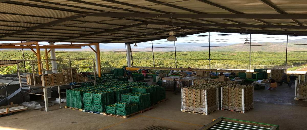 Foto de rancho en venta en carretera 200 km78, tepic -puerto vallarta , altavista, compostela, nayarit, 0 No. 03