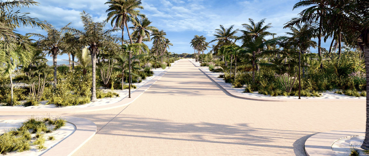 Foto de terreno habitacional en carretera 27 , dzilam de bravo, dzilam de bravo, yucatán, 29935547 foto 03 Foto de terreno habitacional en venta en carretera 27 , dzilam de bravo, dzilam de bravo, yucatán, 29935547 No. 03