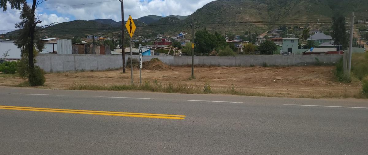 Foto de terreno comercial en venta en carretera 3 ruta del vino , el porvenir, ensenada, baja california, 27981200 No. 05