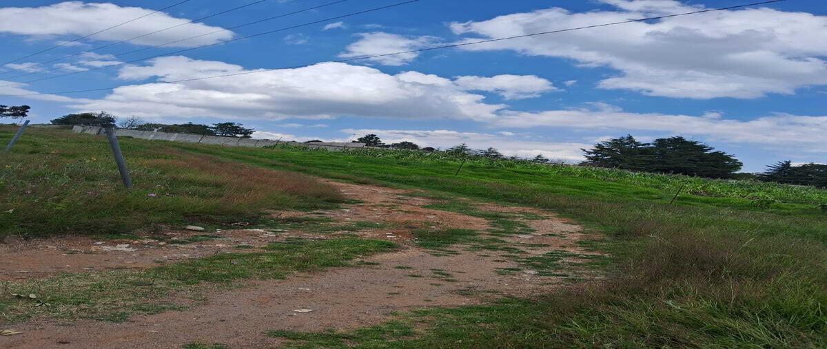 Foto de terreno habitacional en venta en carretera 330 amealco- san idelfonso , san josé ithó, amealco de bonfil, querétaro, 0 No. 04