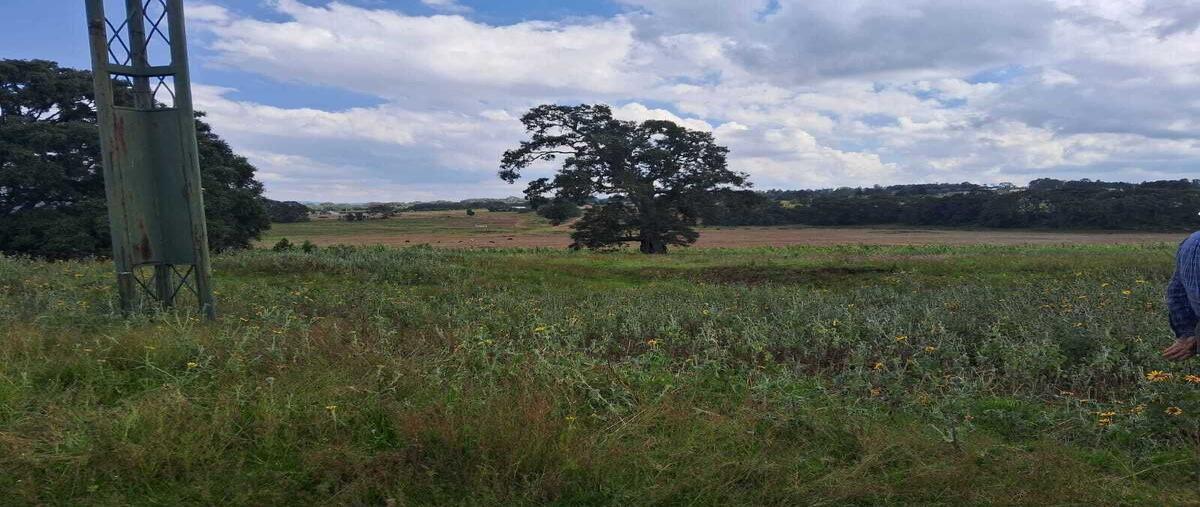 Foto de terreno habitacional en venta en carretera 330 amealco- san idelfonso , san josé ithó, amealco de bonfil, querétaro, 0 No. 05
