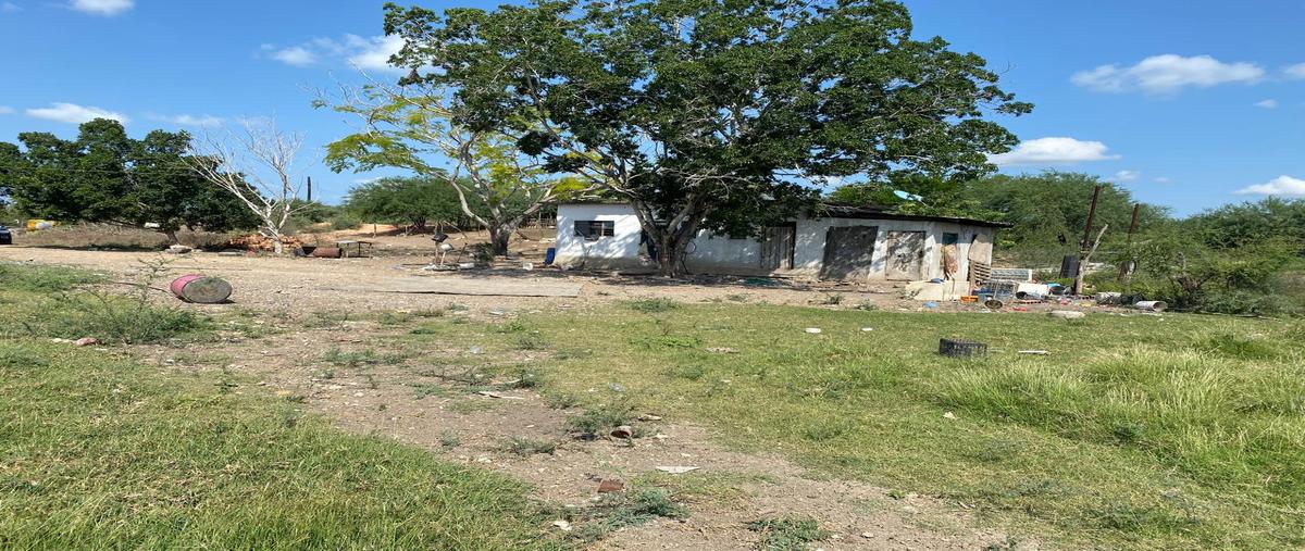 Foto de rancho en carretera 39- ebano-gonzalez , chijol diecisiete, pánuco, veracruz de ignacio de la llave, 28878534 foto 05 Foto de rancho en venta en carretera 39- ebano-gonzalez , chijol diecisiete, pánuco, veracruz de ignacio de la llave, 28878534 No. 05