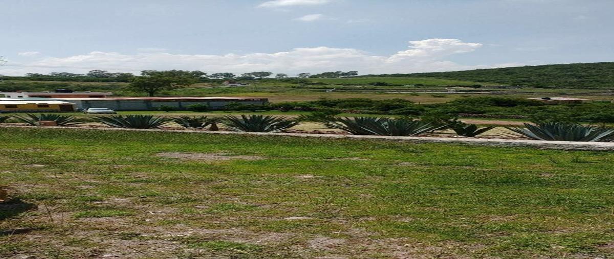 Foto de rancho en carretera 400 querétaro – huimilpankm. 15.6 , santa teresa, huimilpan, querétaro, 29723886 foto 05 Foto de rancho en venta en carretera 400 querétaro – huimilpankm. 15.6 , santa teresa, huimilpan, querétaro, 29723886 No. 05